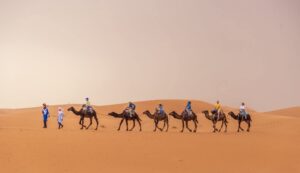 Morocco Shared Desert Tours from Marrakech and Fez