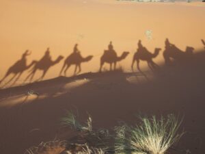 Cose da fare nel deserto di Merzouga