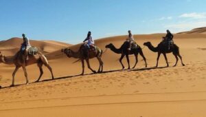 4 days desert tour from Casablanca to Marrakech