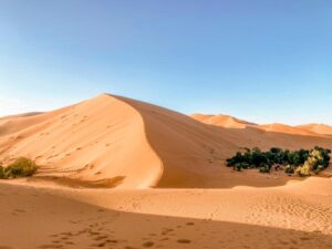 Notte nell oasi di Merzouga