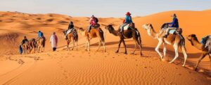 Agadir Private Desert Tours