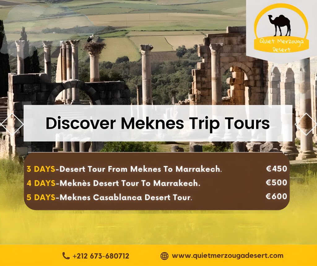 Desert Tour from Meknes