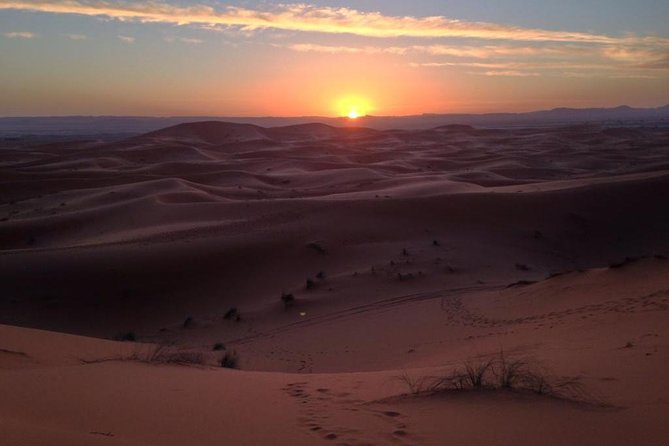 Scopri i migliori tour nel deserto da Marrakech #1