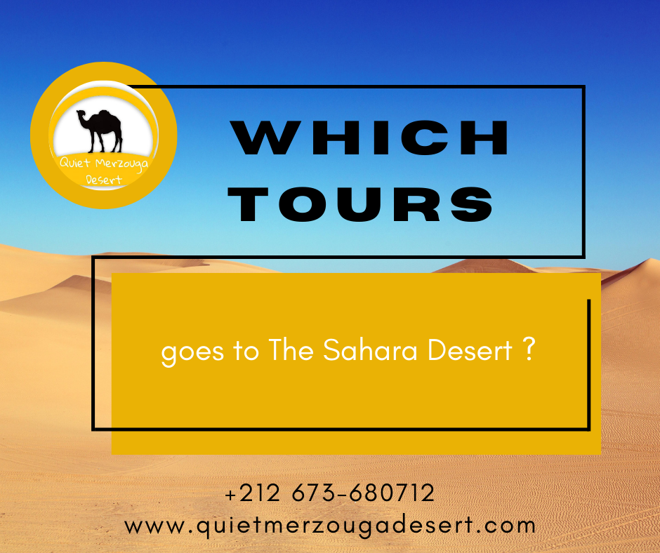 Which Tours goes to The Sahara Desert?