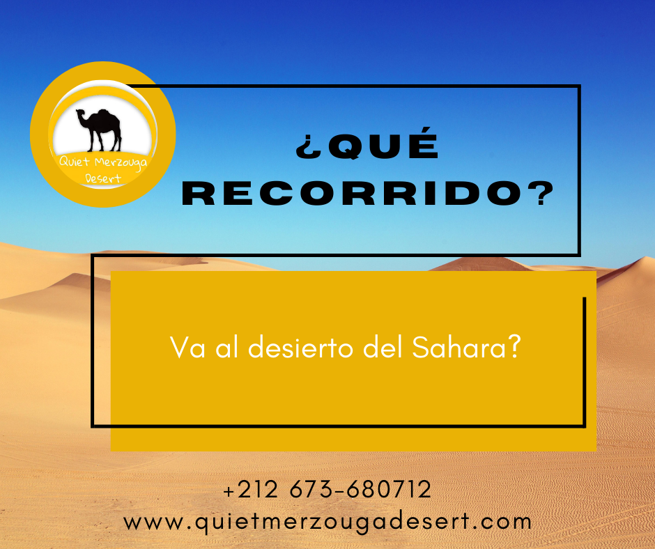 ¿Qué Tours Van al Desierto del Sahara?