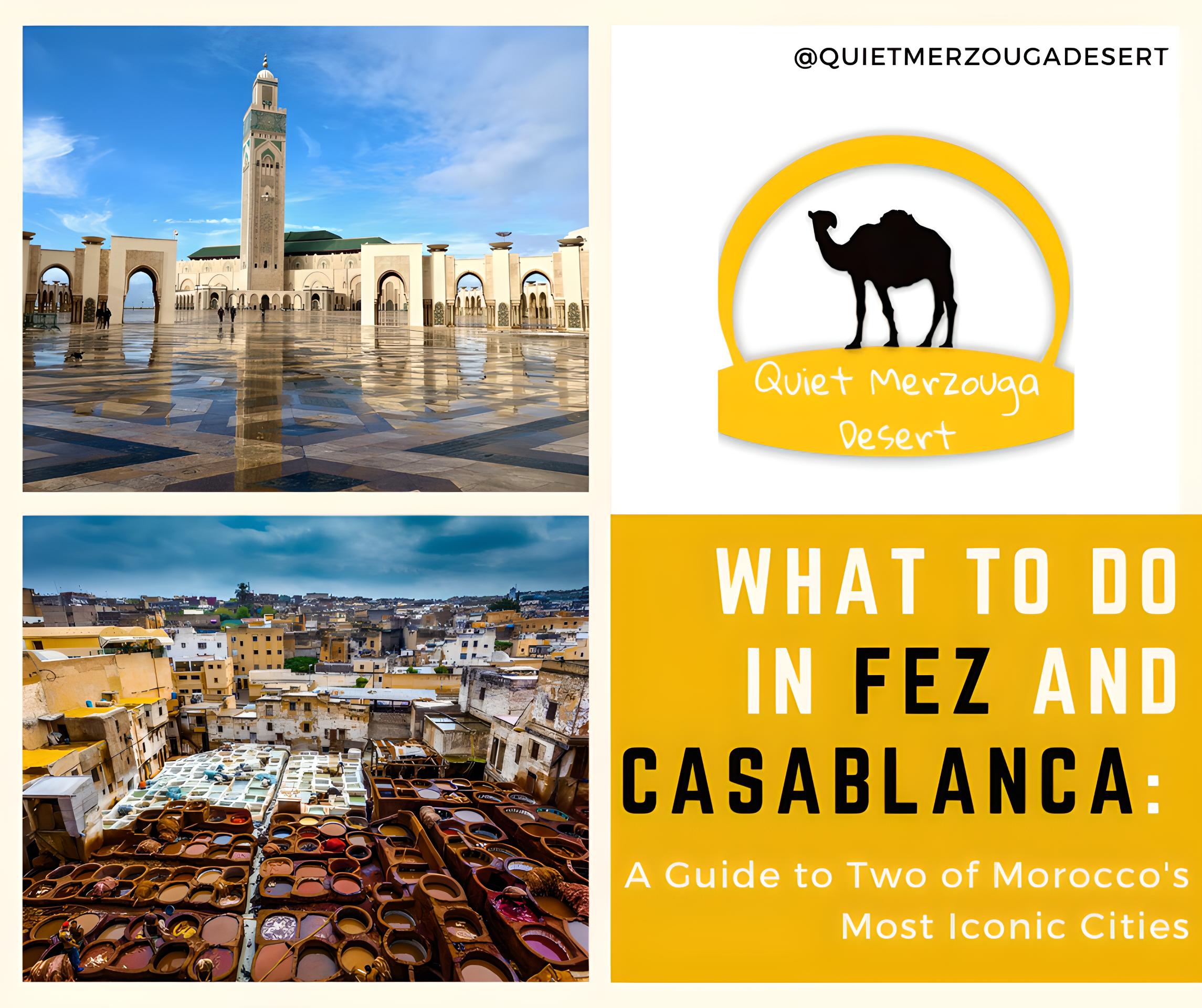 What to do in Fez and Casablanca?