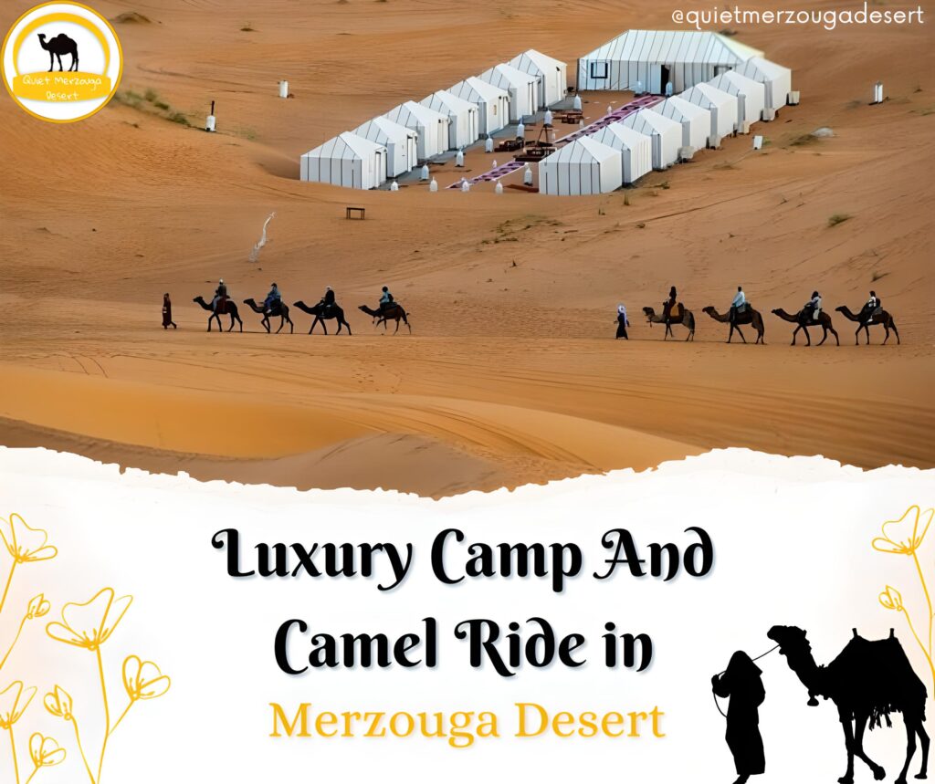 Luxury Camp and Camel Ride in Merzouga Desert