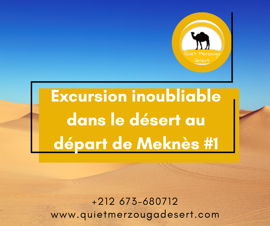 Excursion inoubliable dans le désert au départ de Meknès #1