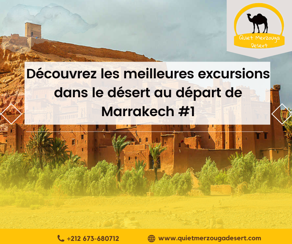 Découvrez les meilleures excursions dans le désert au départ de Marrakech #1