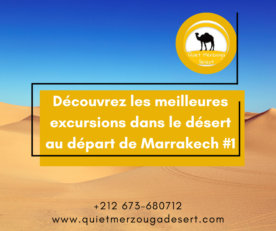 Découvrez les meilleures excursions dans le désert au départ de Marrakech #1