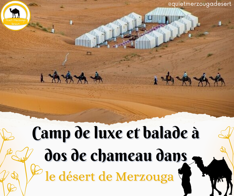 Camp de luxe et balade à dos de chameau dans le désert de Merzouga