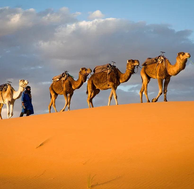 quietmerzougadesert.com