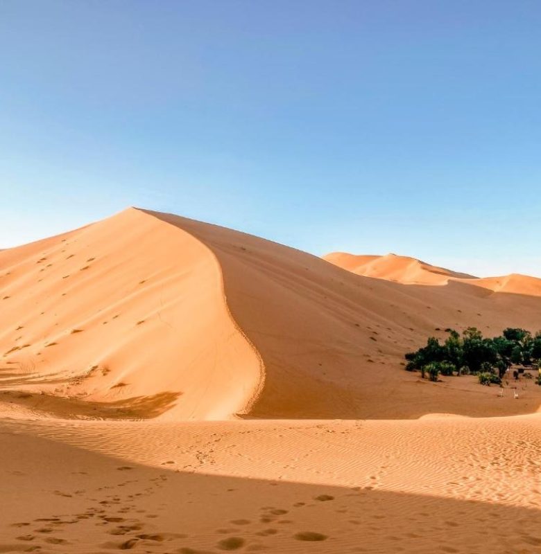 Notte nell oasi di Merzouga