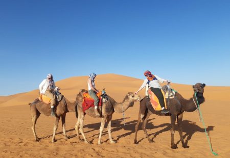 Tours from Merzouga Desert