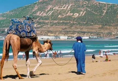 Tours from Agadir